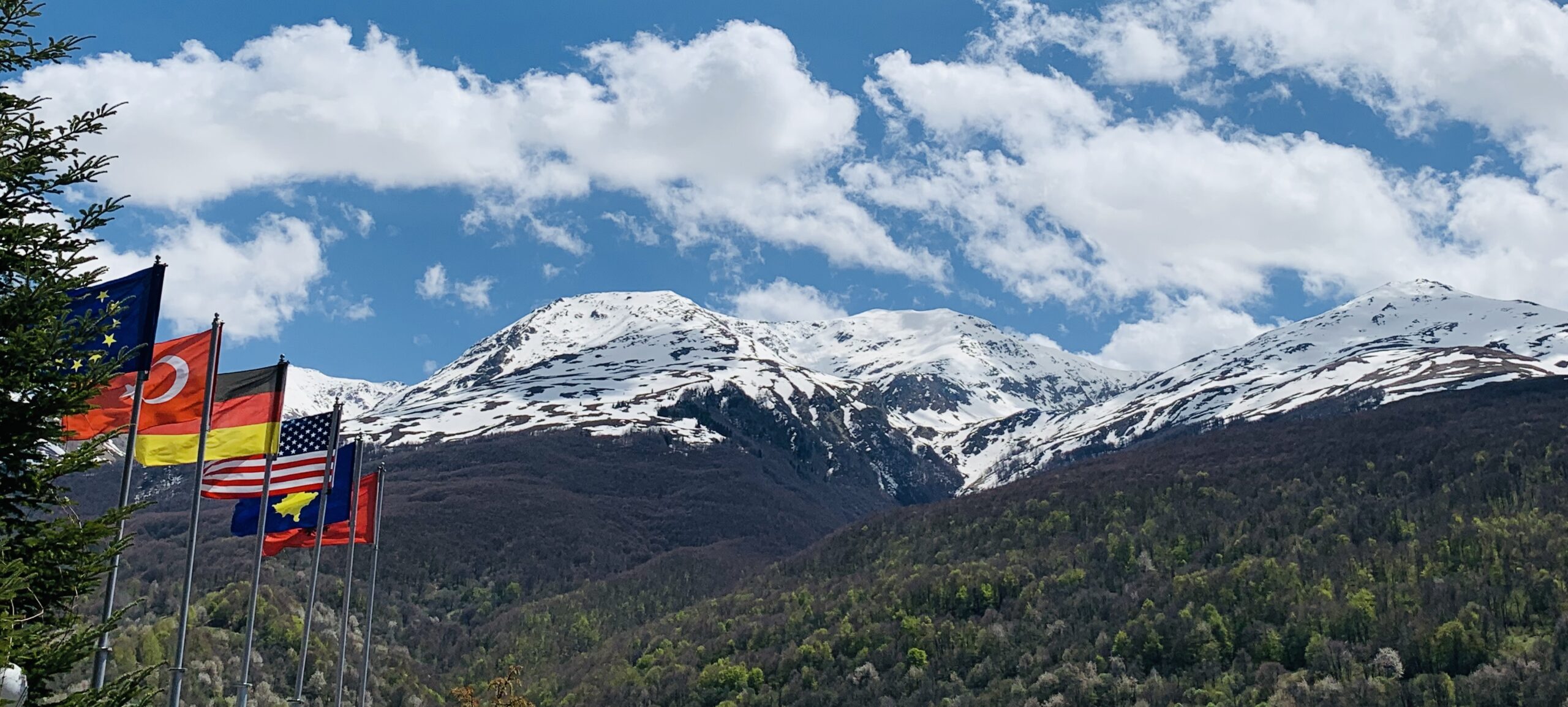 Organic Herb Kosova, Medicinal and Aromatic Plants Improving